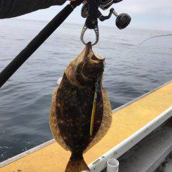 シーランチ 釣果