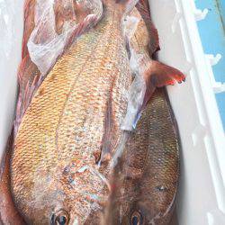 第二八坂丸 釣果