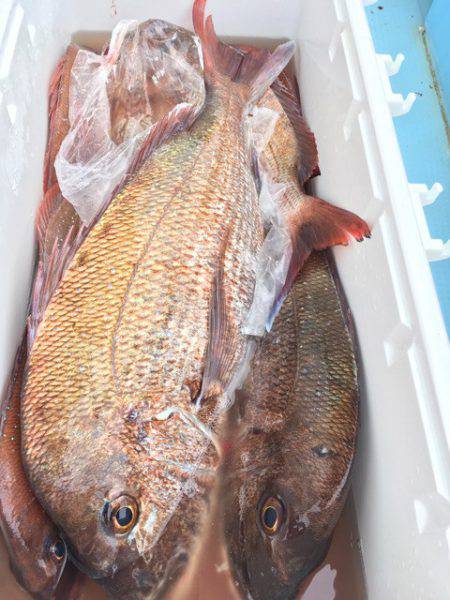 第二八坂丸 釣果