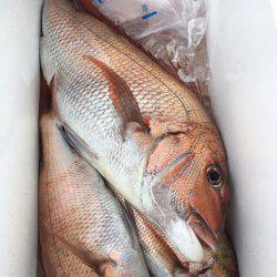 第二八坂丸 釣果