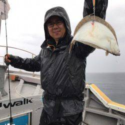 シーランチ 釣果