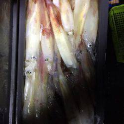 第二龍勢丸 釣果