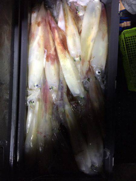 第二龍勢丸 釣果