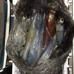 第二龍勢丸 釣果