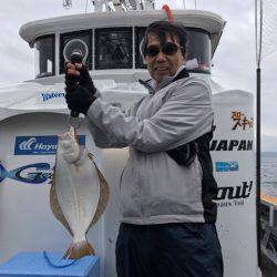 シーランチ 釣果