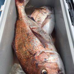 第二八坂丸 釣果