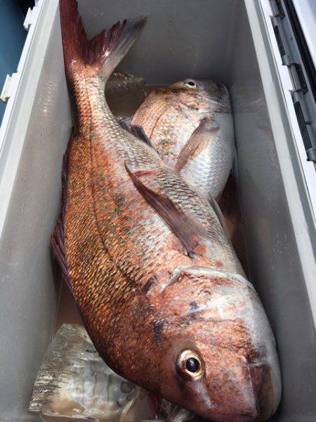 第二八坂丸 釣果