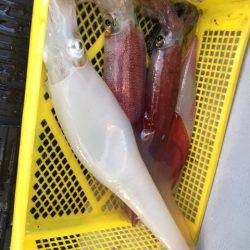 第二龍勢丸 釣果