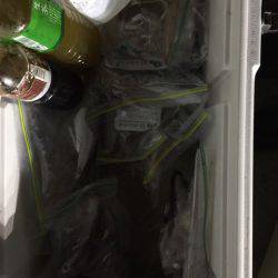 第二龍勢丸 釣果