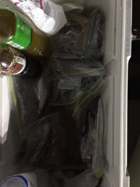 第二龍勢丸 釣果