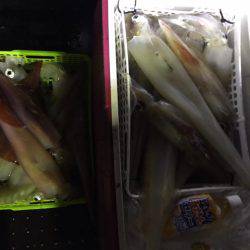 第二龍勢丸 釣果