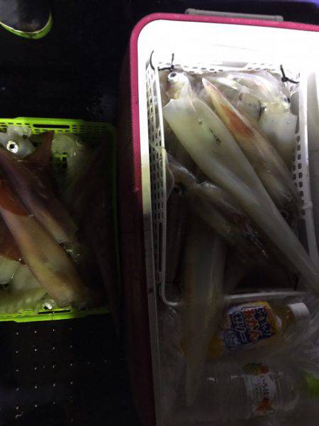 第二龍勢丸 釣果