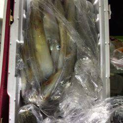 第二龍勢丸 釣果