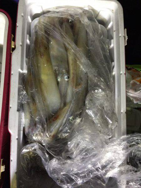 第二龍勢丸 釣果