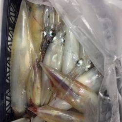 第二龍勢丸 釣果