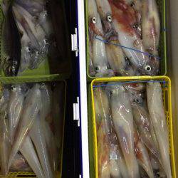 第二龍勢丸 釣果