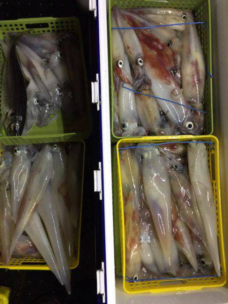 第二龍勢丸 釣果