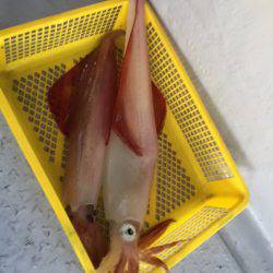 第二龍勢丸 釣果