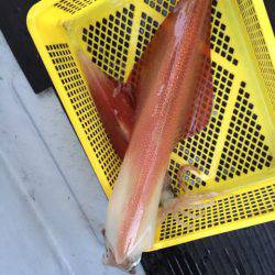 第二龍勢丸 釣果