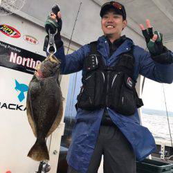 シーランチ 釣果