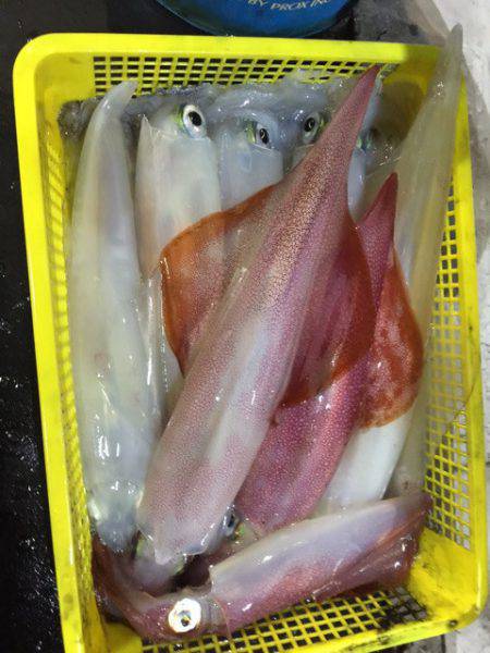 第二龍勢丸 釣果