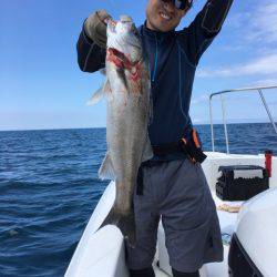 うさぎ丸 釣果