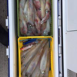 第二龍勢丸 釣果