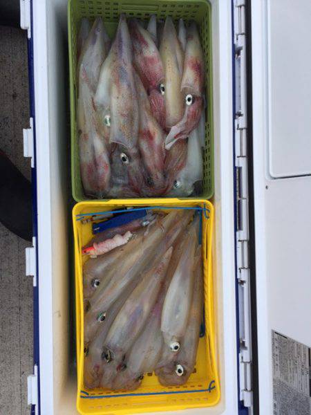 第二龍勢丸 釣果