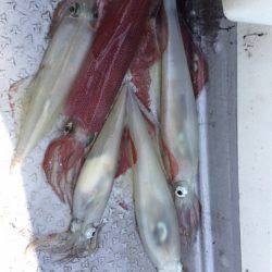 第二龍勢丸 釣果