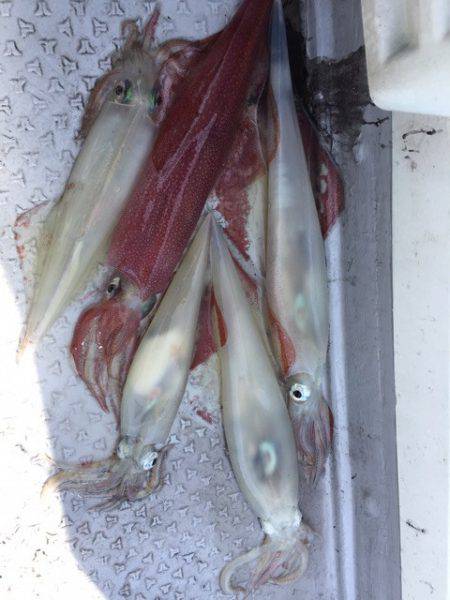 第二龍勢丸 釣果