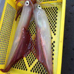 第二龍勢丸 釣果