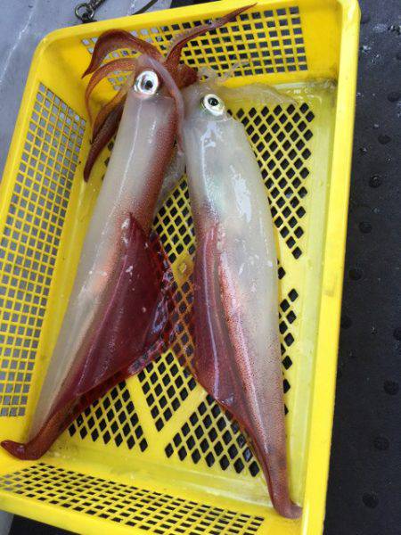 第二龍勢丸 釣果