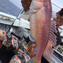 第二龍勢丸 釣果