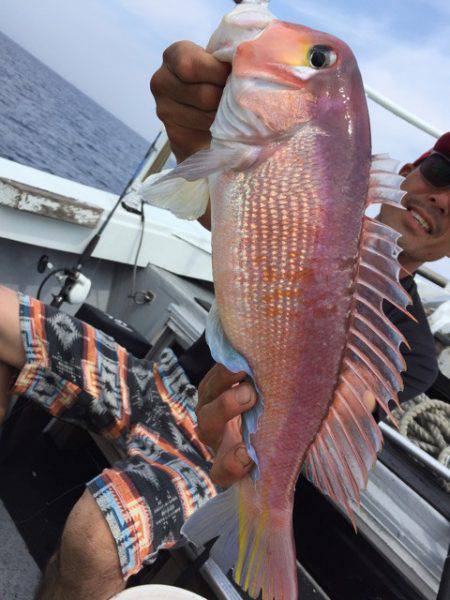 第二龍勢丸 釣果