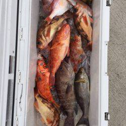 第二龍勢丸 釣果