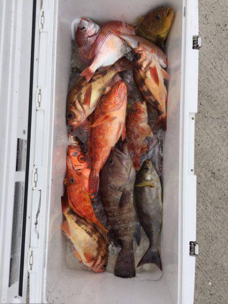 第二龍勢丸 釣果