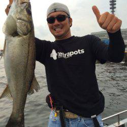 SeaRide(シーライド) 釣果