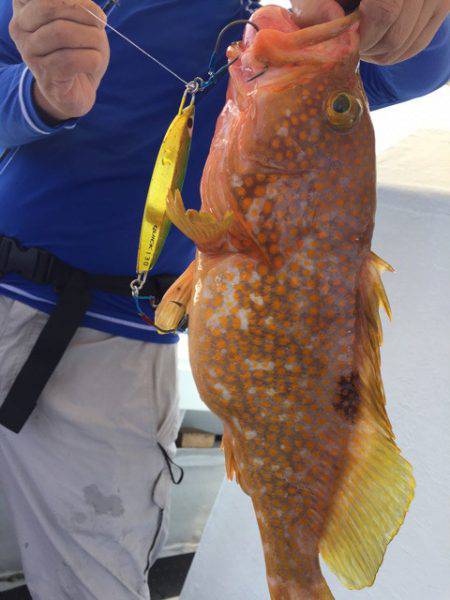 第二龍勢丸 釣果