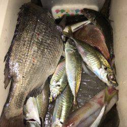 第二八坂丸 釣果