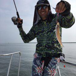 うさぎ丸 釣果