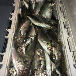 第二八坂丸 釣果