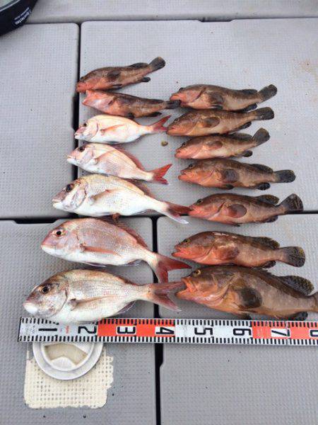 豊和丸 釣果