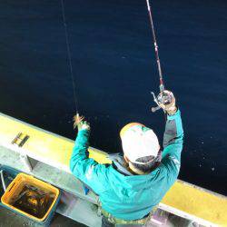 シーランチ 釣果