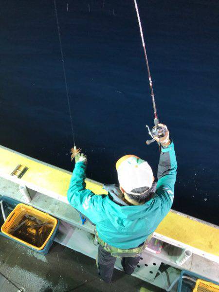 シーランチ 釣果