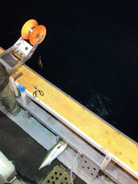 シーランチ 釣果