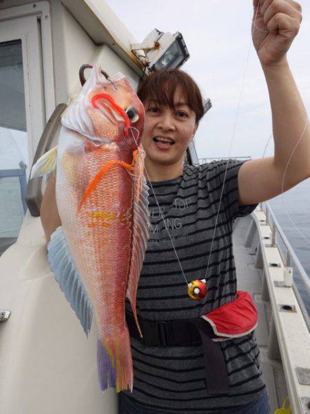 まるいち丸 ZERO-1 釣果
