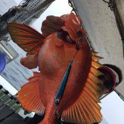 第二龍勢丸 釣果