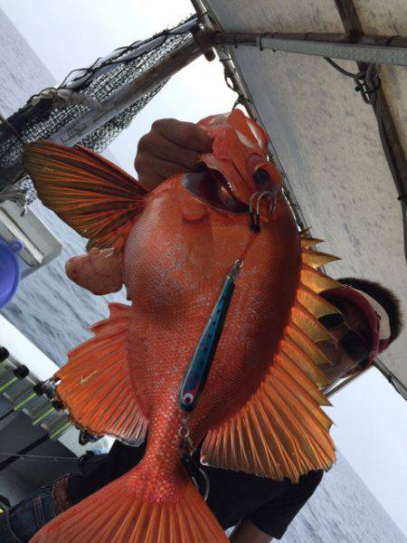 第二龍勢丸 釣果