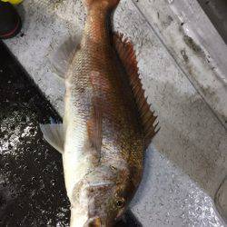 第二龍勢丸 釣果