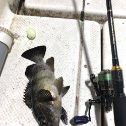 Monster Rush! 釣果